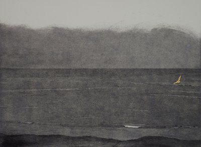 Silent Flight by angus hampel